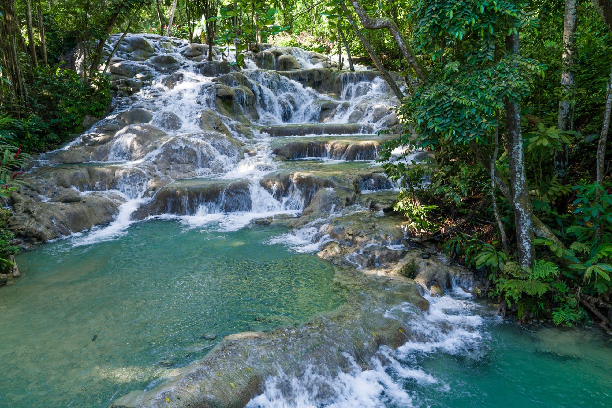 Dunn’s River Falls named among world’s top attractions in 2026 TripAdvisor awards