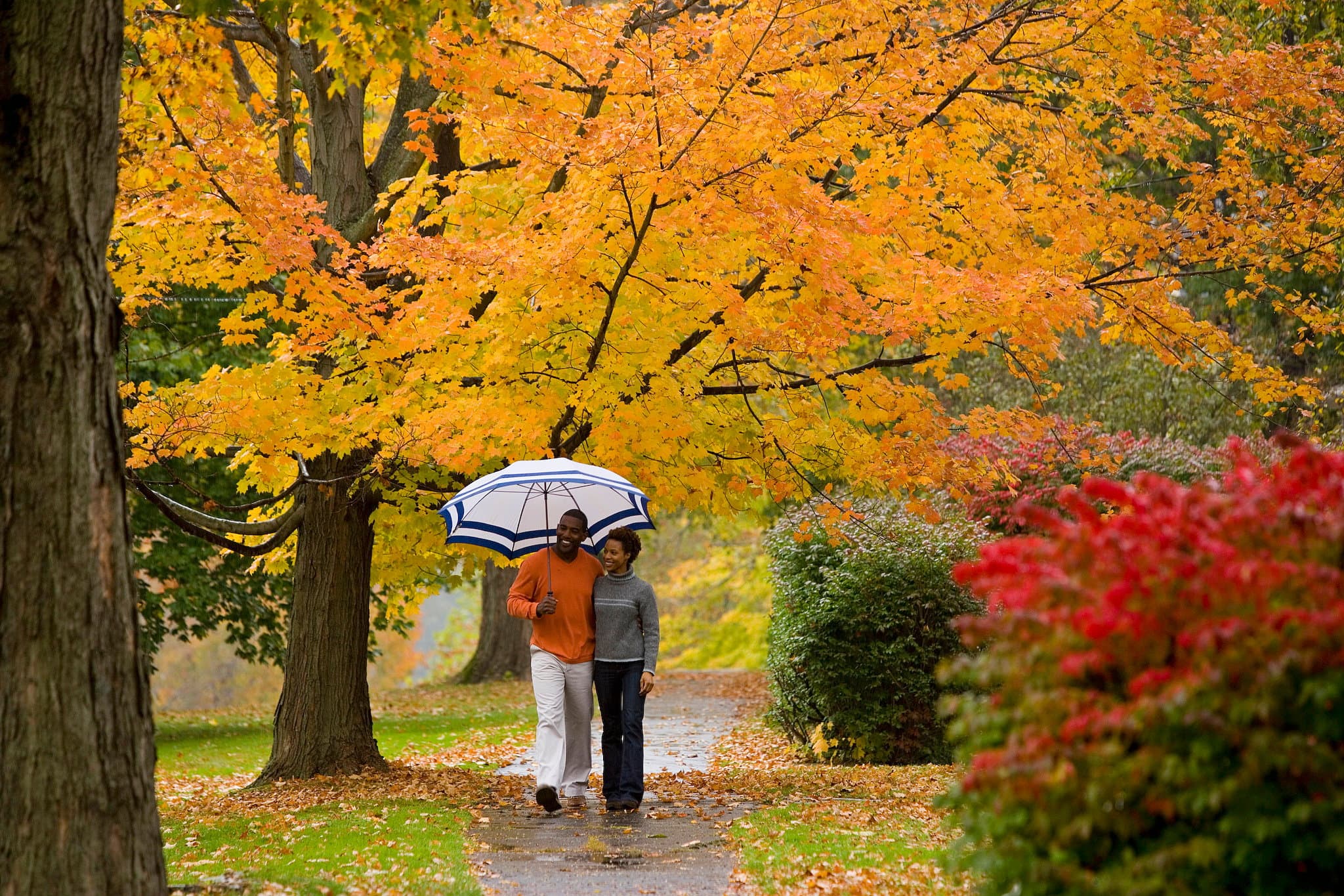 Traveler's Guide to affordable Travel