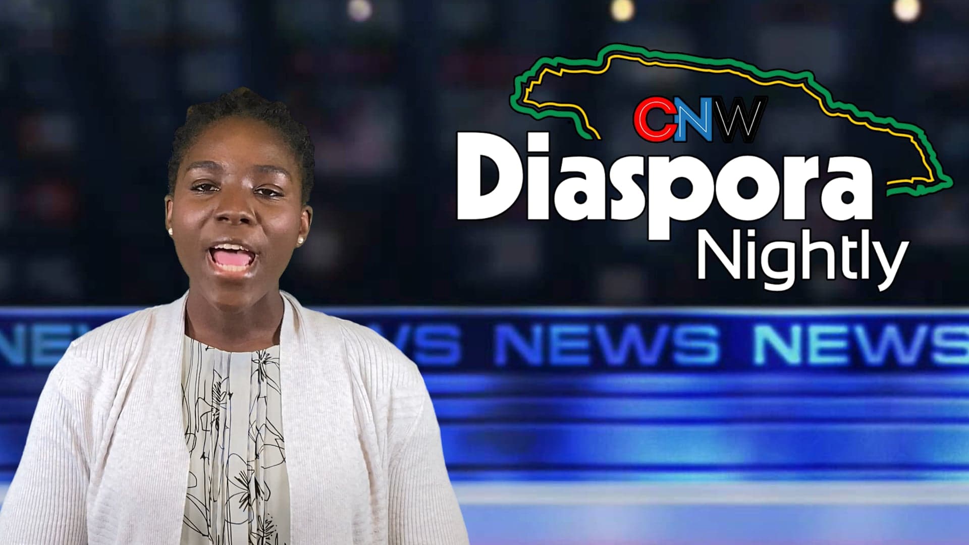 CNW90: Superintendent of Broward Schools, Robert Runcie Arrested for perjury