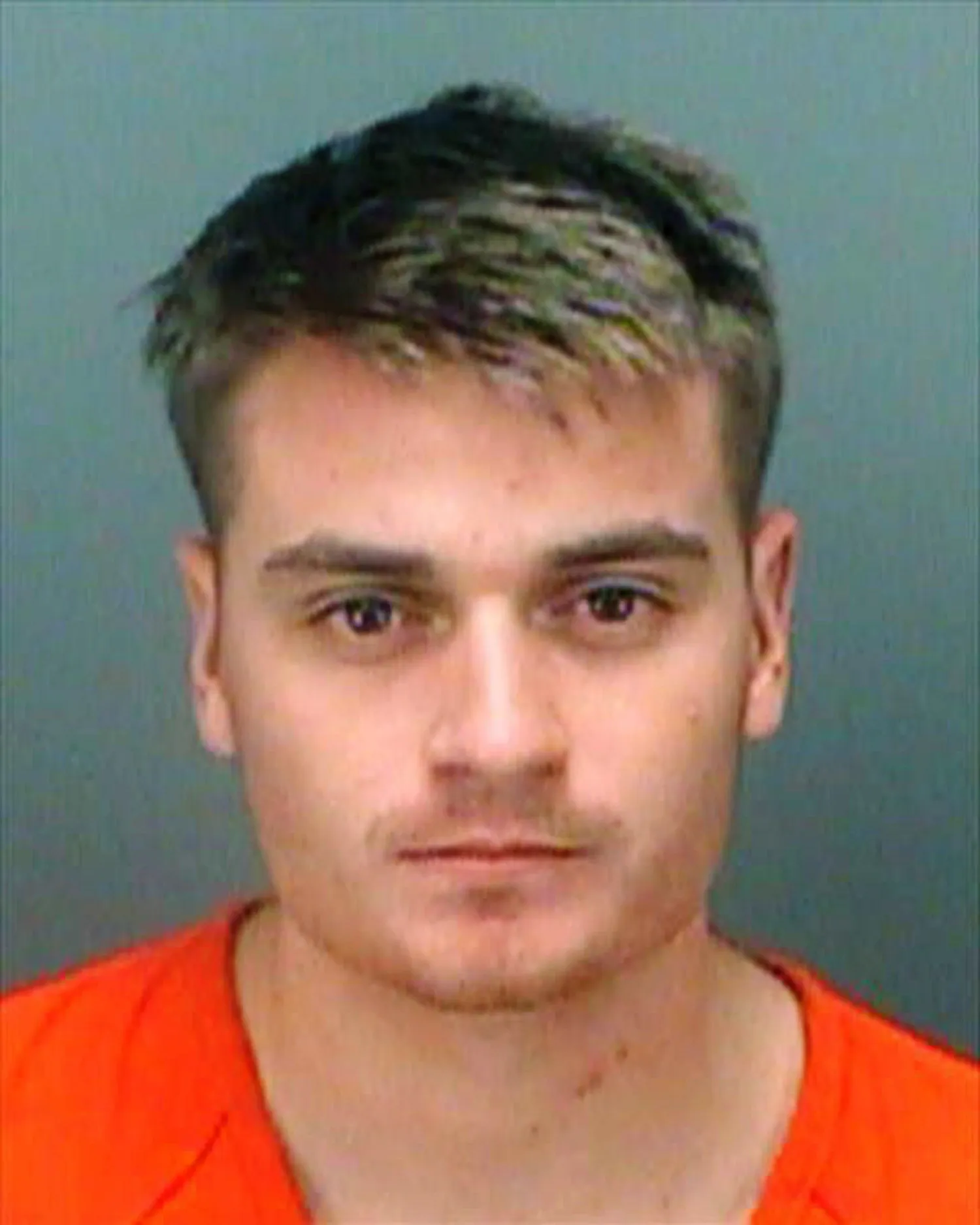 Bahamian Neo-Nazi leader gets 20 years for plot to sabotage US power grid