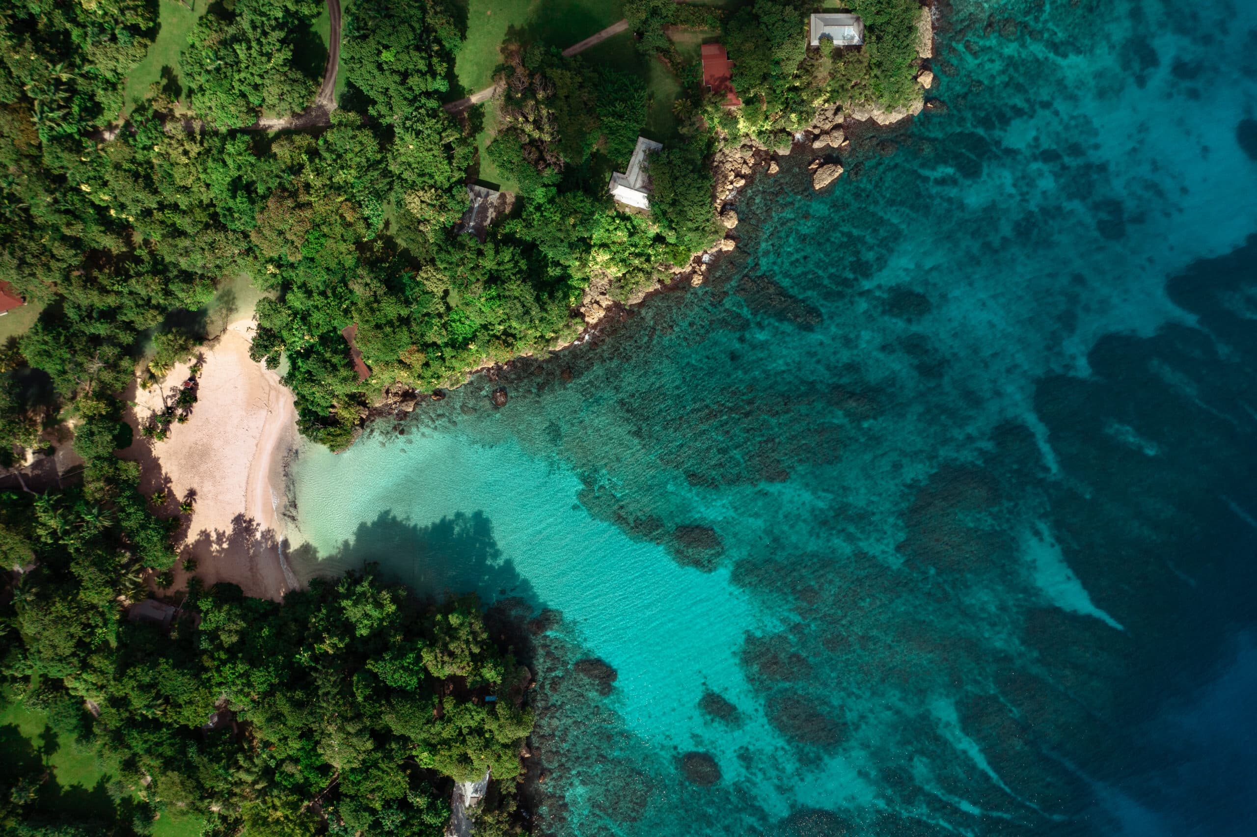 Jamaica named top global destination for food, romance, and culture by Tripadvisor