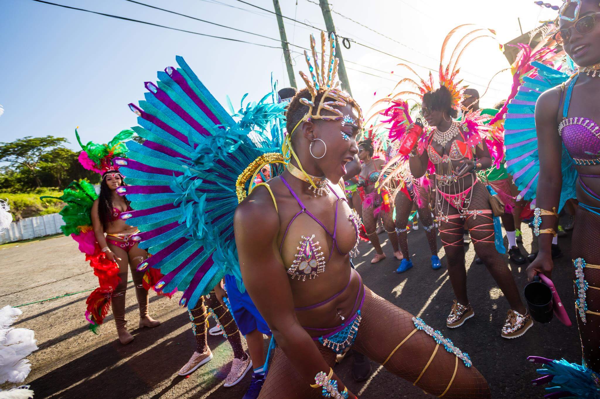 Grenada PM Warns Against Indecent Behavior During Carnival Celebrations