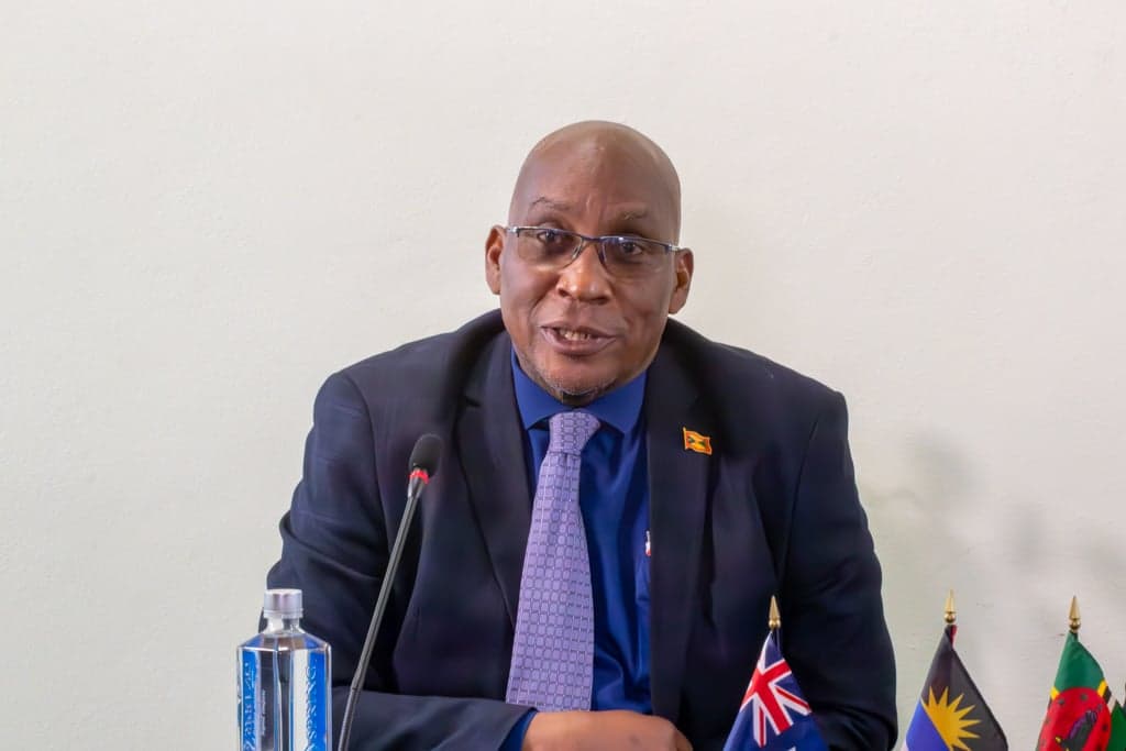 Grenada records EC$90 million revenue drop, CBI Programme hit hardest
