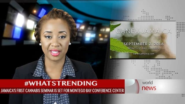 Jamaica to hold first cannabis seminar
