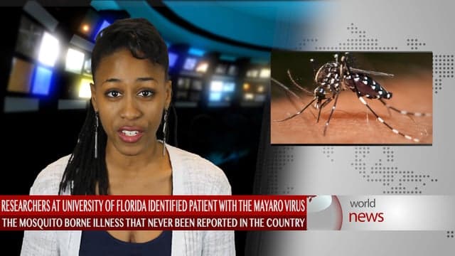 Researchers at the University of Florida have identified a patient in Haiti with a mosquito-borne illness