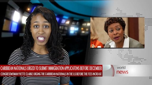 Immigration application fees set to increase in December