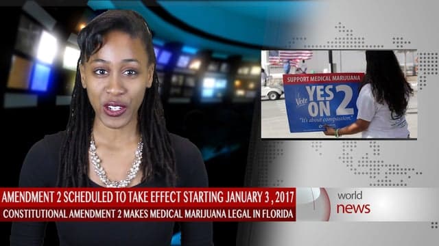 Medical Marijuana could be at a stand still in Florida due to laws making marijuana dispensaries illegal