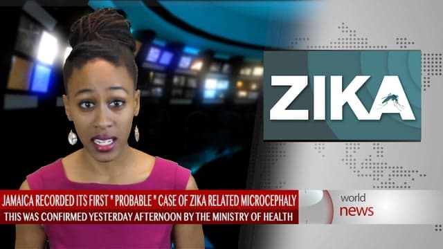 Ministry of Health confirms Jamaica's first 'probable' case of Zika-related microcephaly