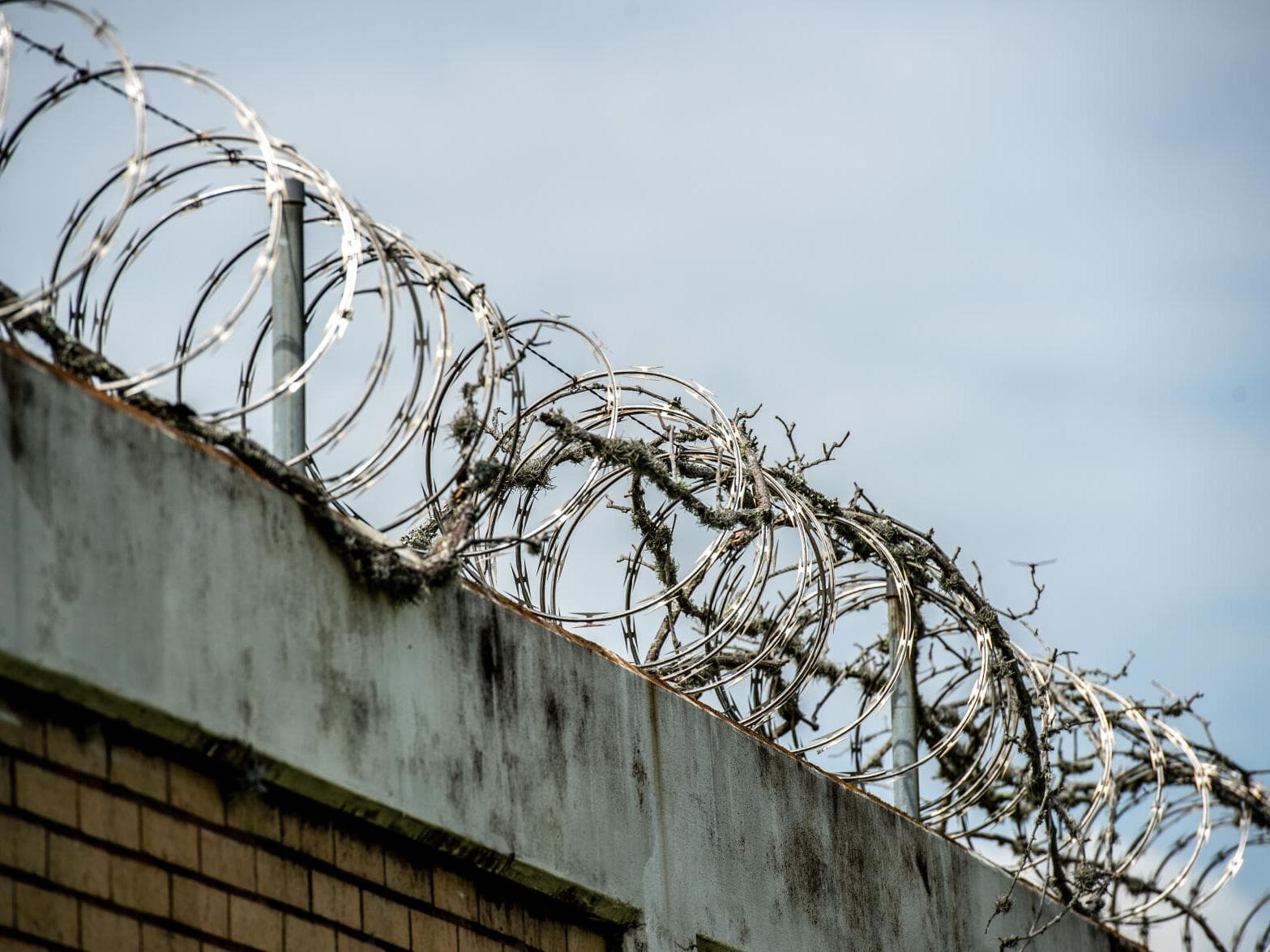 Four African migrants found after escaping detention facility in St Kitts