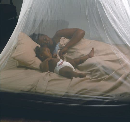 Ministry of Health reports significant increase in dengue fever