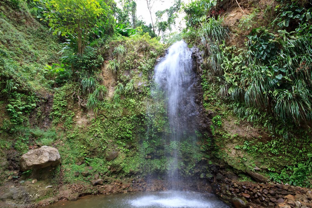 A Look at Some of St Lucia’s Most Stunning Waterfalls