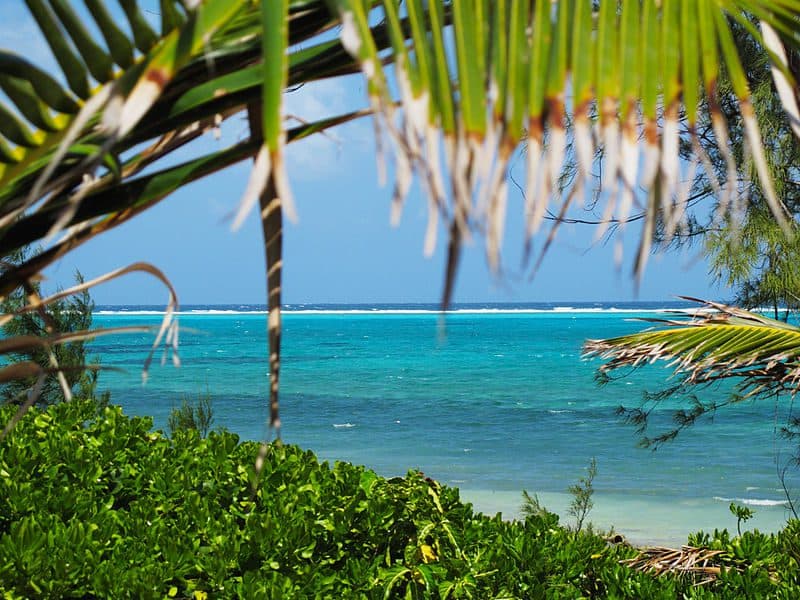 Cayman Islands: A Dream Getaway for Divers & Ocean Lovers