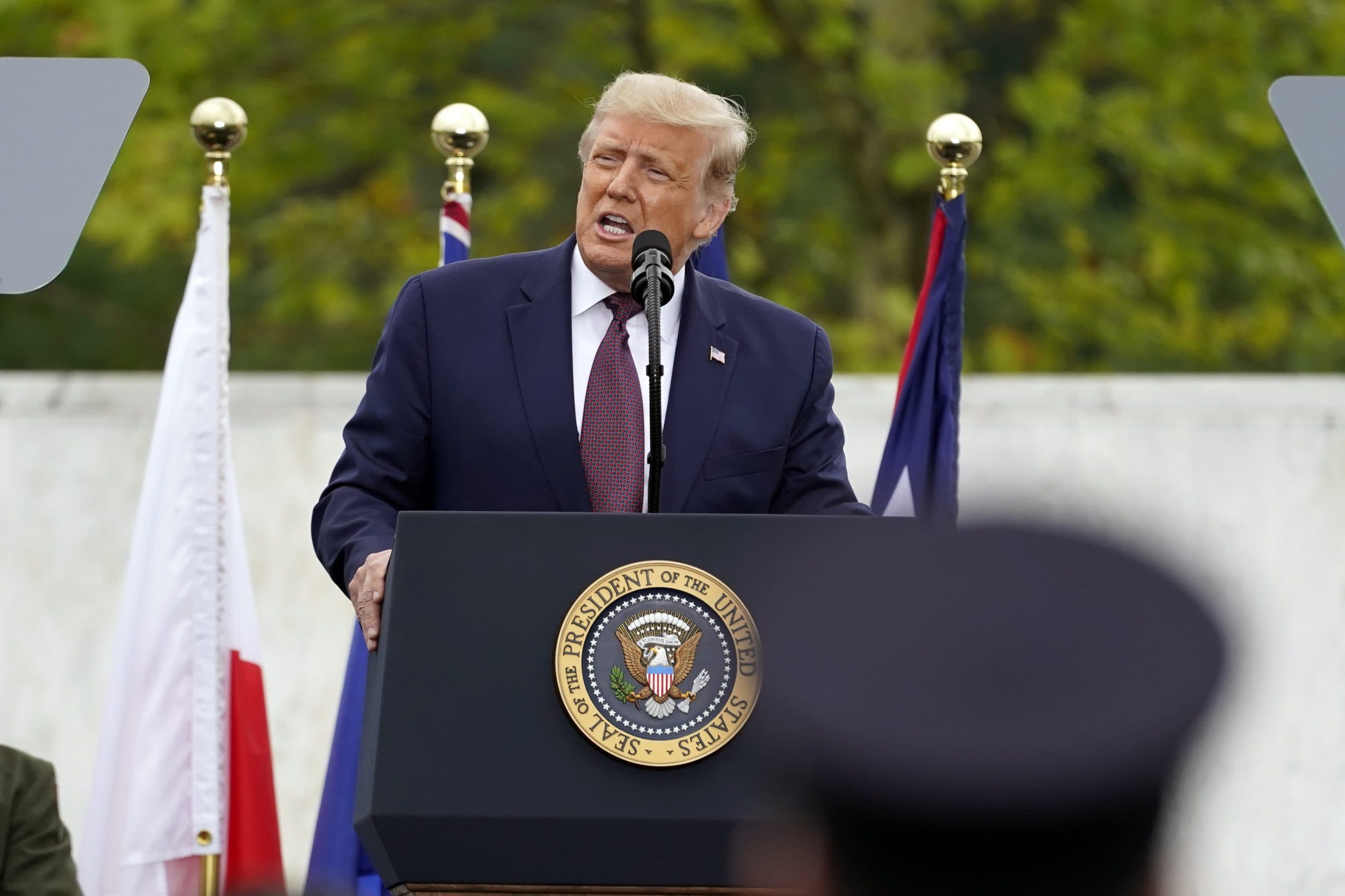 Donald Trump wins 2024 US presidential election
