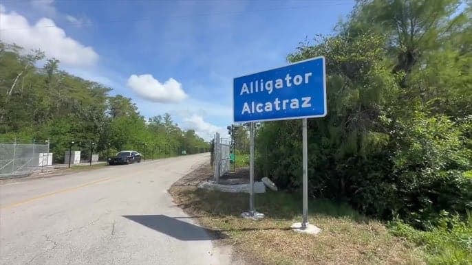 Jamaican returns home after detention at Florida’s ‘Alligator Alcatraz’