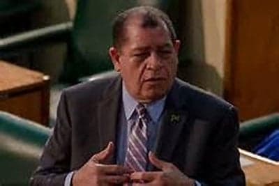 Jamaican government looks to energy diversification