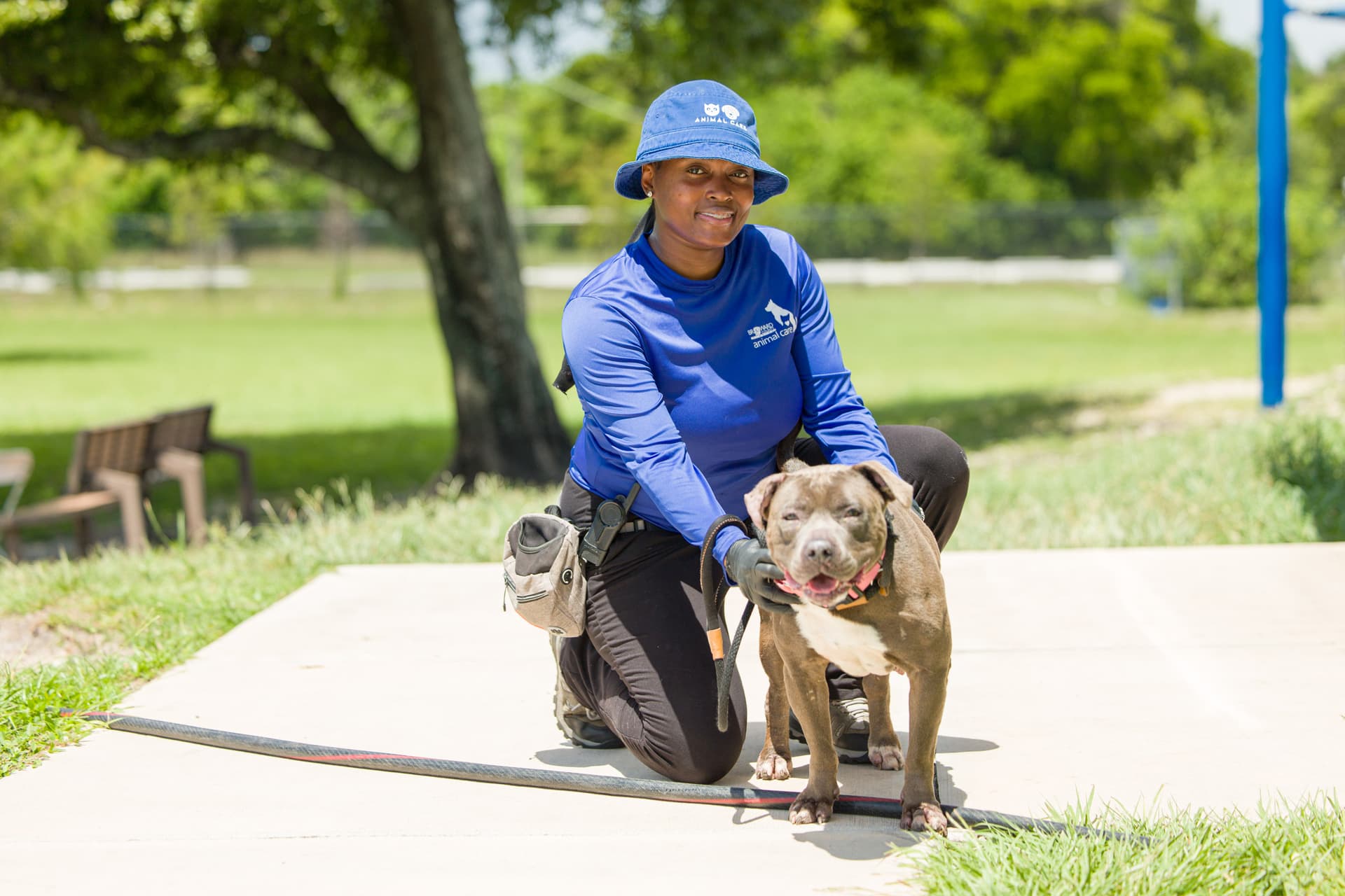 Three ways to keep your pet safe in Broward County