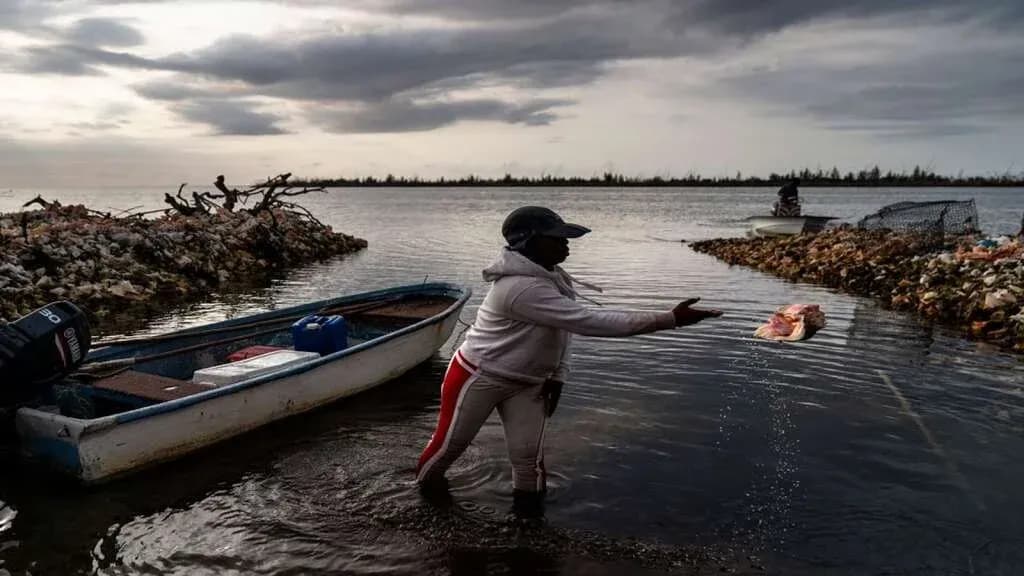 In Bahamas, a struggle to save conch, and a way of life