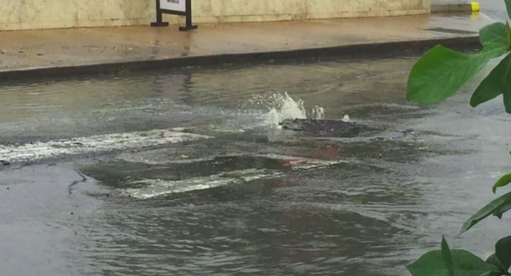 Barbados gastro outbreak not linked to sewage problem