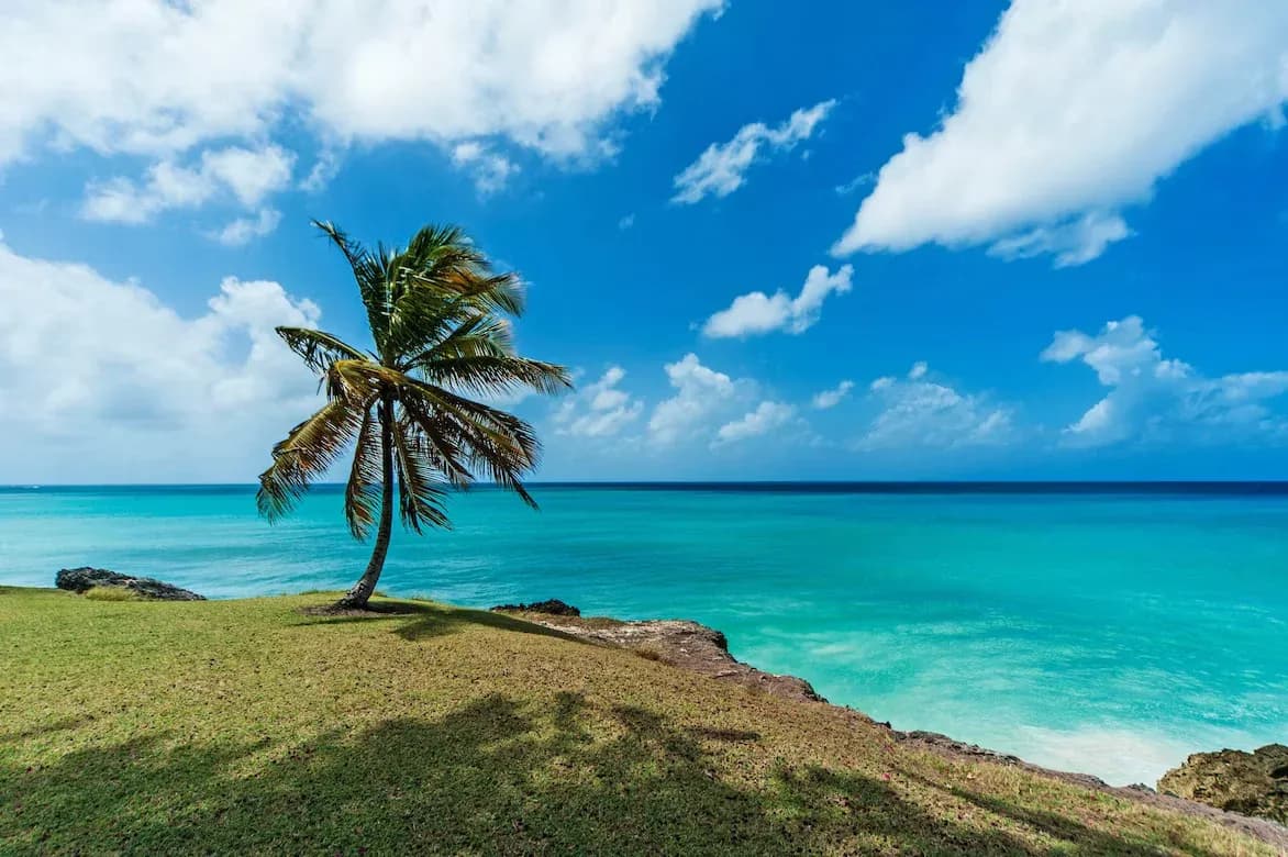 Barbados tourism records increase in stay-over arrivals in 2024