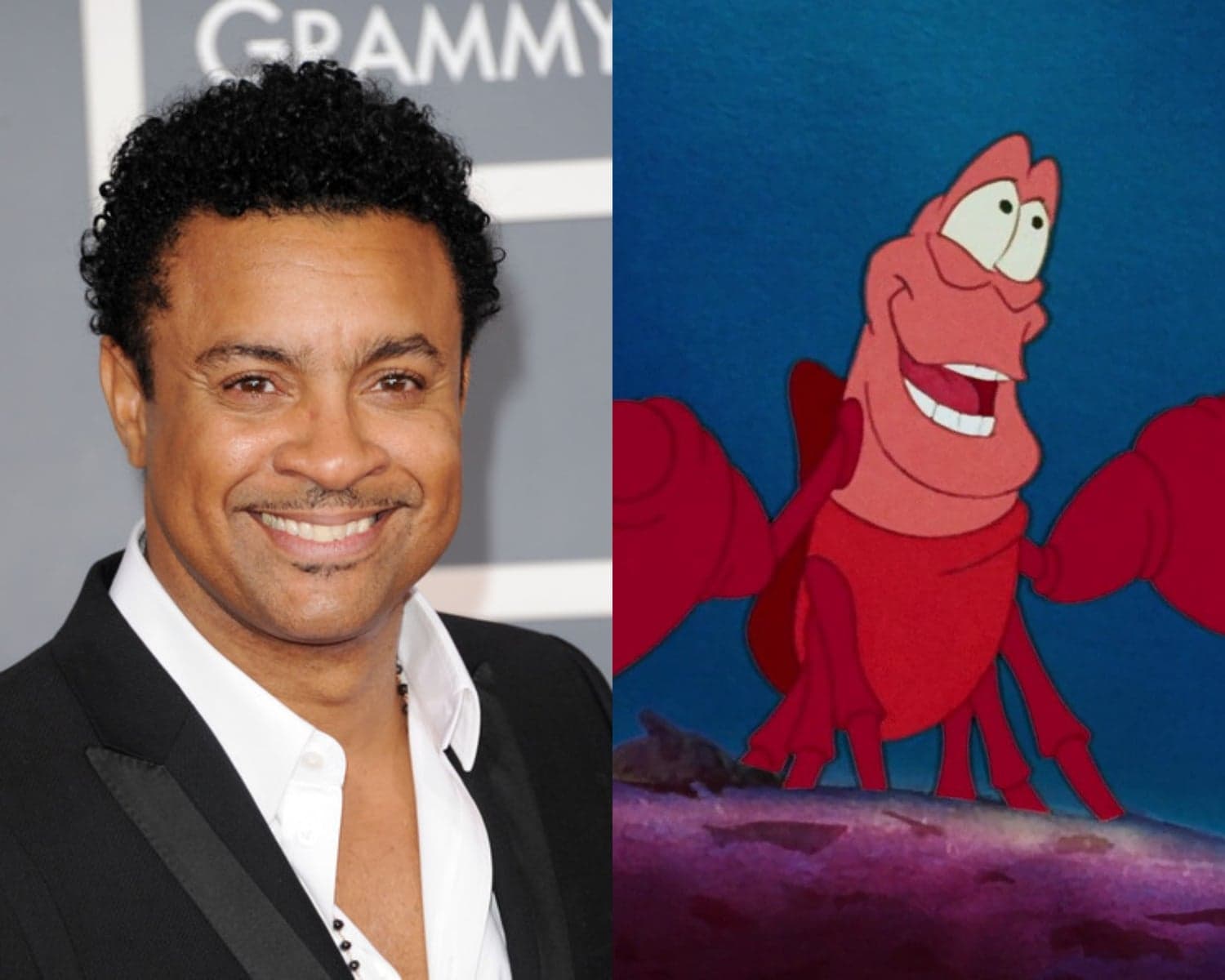Disney Casts Shaggy as Sebastian in 'The Little Mermaid Live!'