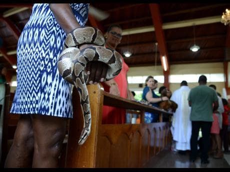 Jamaican pastor lambasted for blessing pets in church