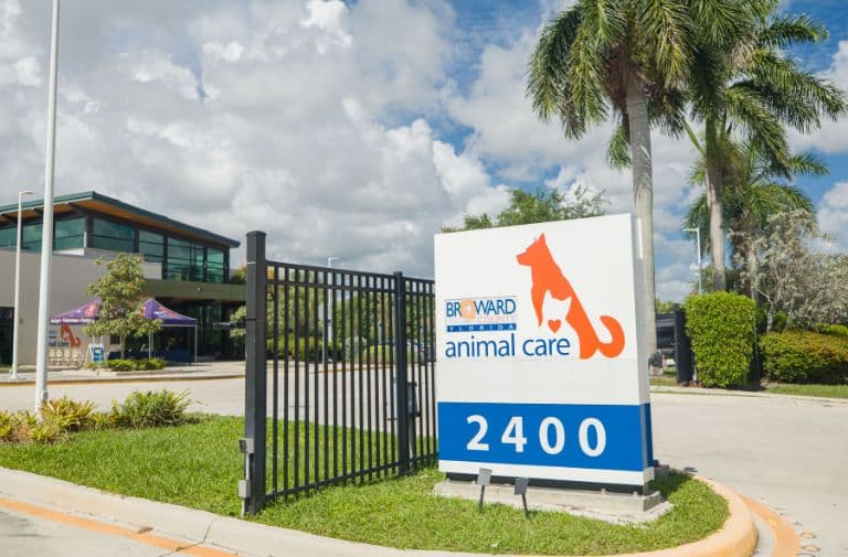 Broward Animal Care launches 'Volunteers Save Lives. Period' campaign