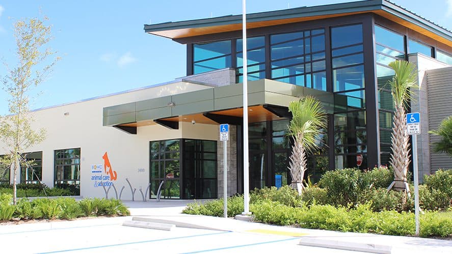Broward County Animal Care hosts wellness clinics this month