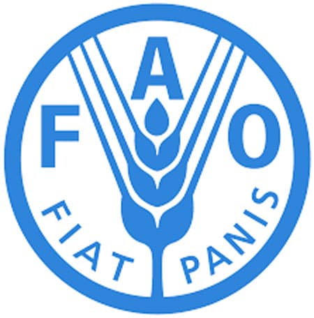 FAO calls for immediate food production in Dominica