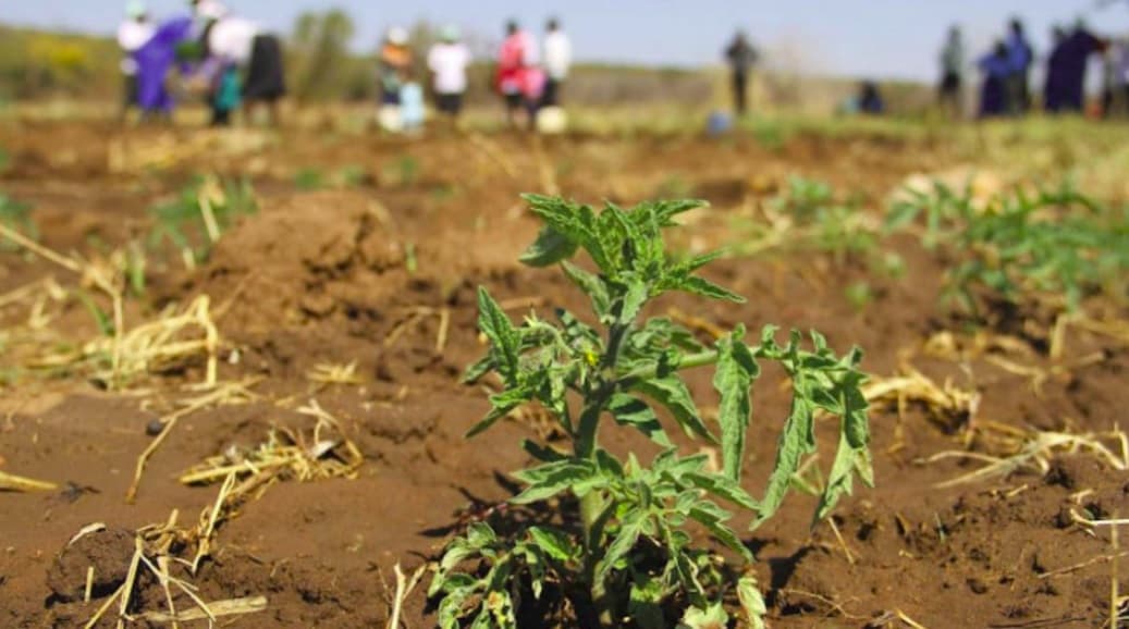 No drought concerns for Caribbean