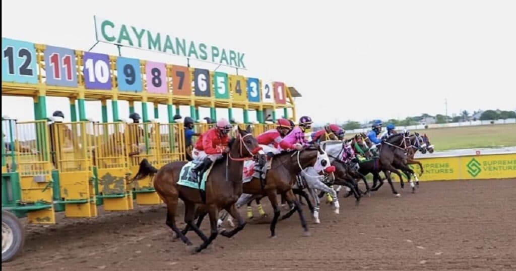 Lifelong racing fan turns JMD$20K bet into $11M jackpot at Caymanas Park