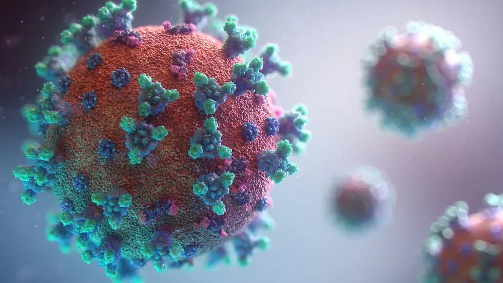 Newest COVID-19 strain detected in Barbados
