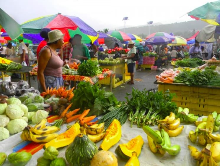 Dominica gets World Bank funds for Agriculture