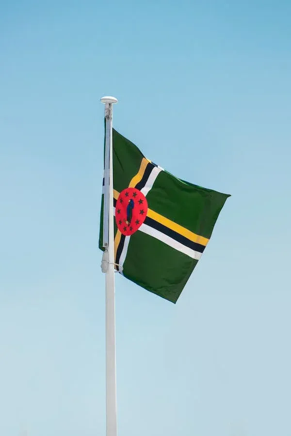The Commonwealth of Dominica building a resilient nation