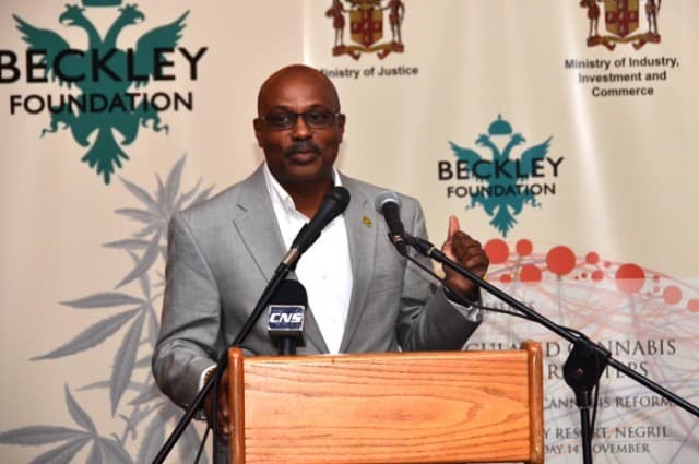 Regulations governing Jamaica's cannabis industry to take effect early next year