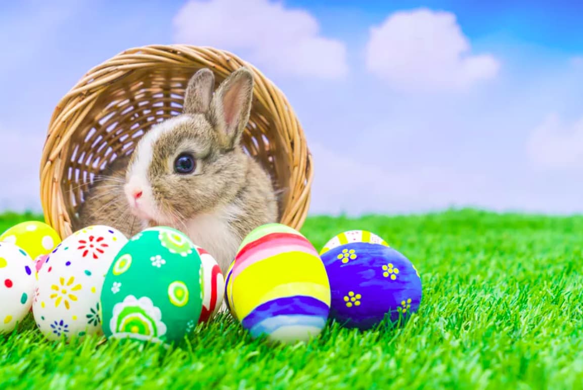 True meaning of Easter missing on some youth