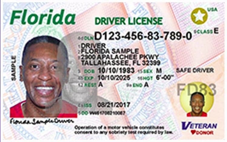 Florida considers giving driver’s licenses to undocumented immigrants