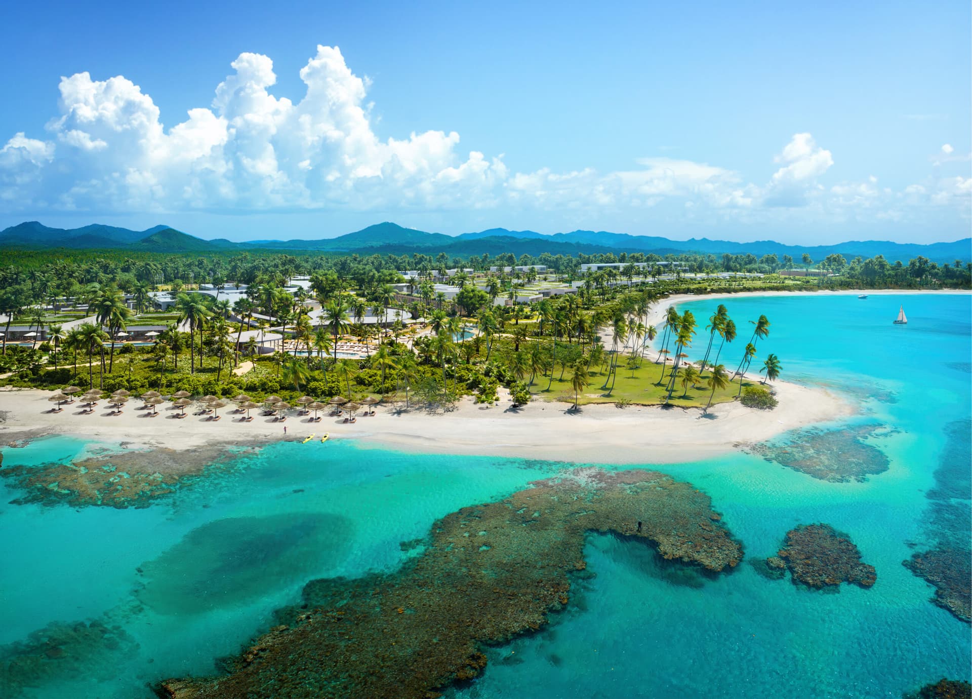Colección Tropicalia opens first call for Caribbean artists