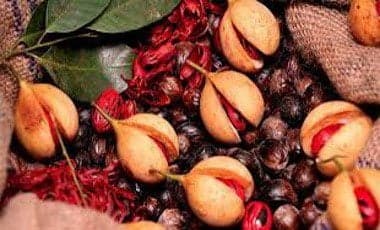 Grenada seeking new markets for nutmeg