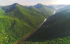 Guyana receives first payment for carbon credits