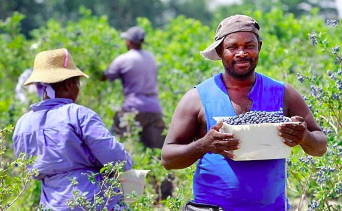 US bars Haiti/Belize from seasonal visas