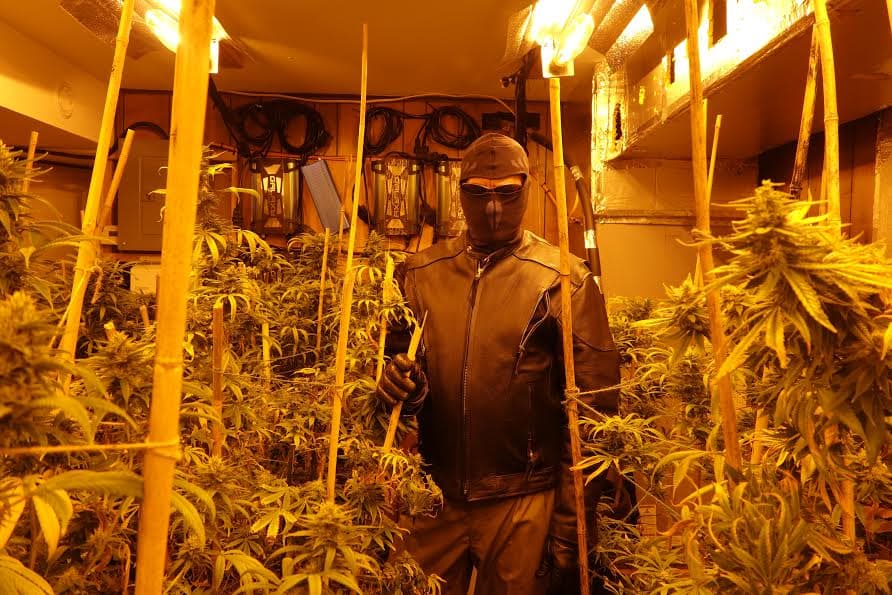FEATURE: Herbman hustling in Colorado