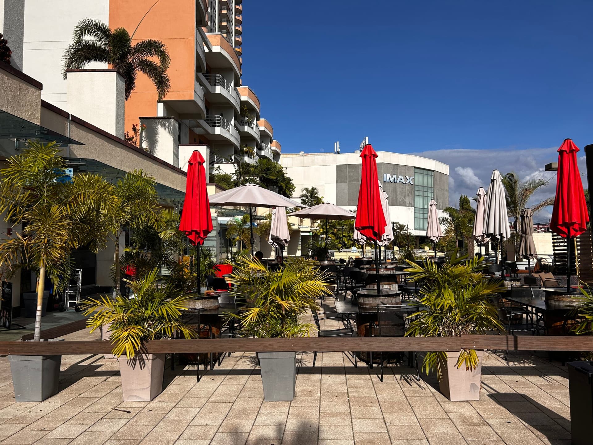 TTFF returns: One Woodbrook Place to host 19th edition of the iconic film festival