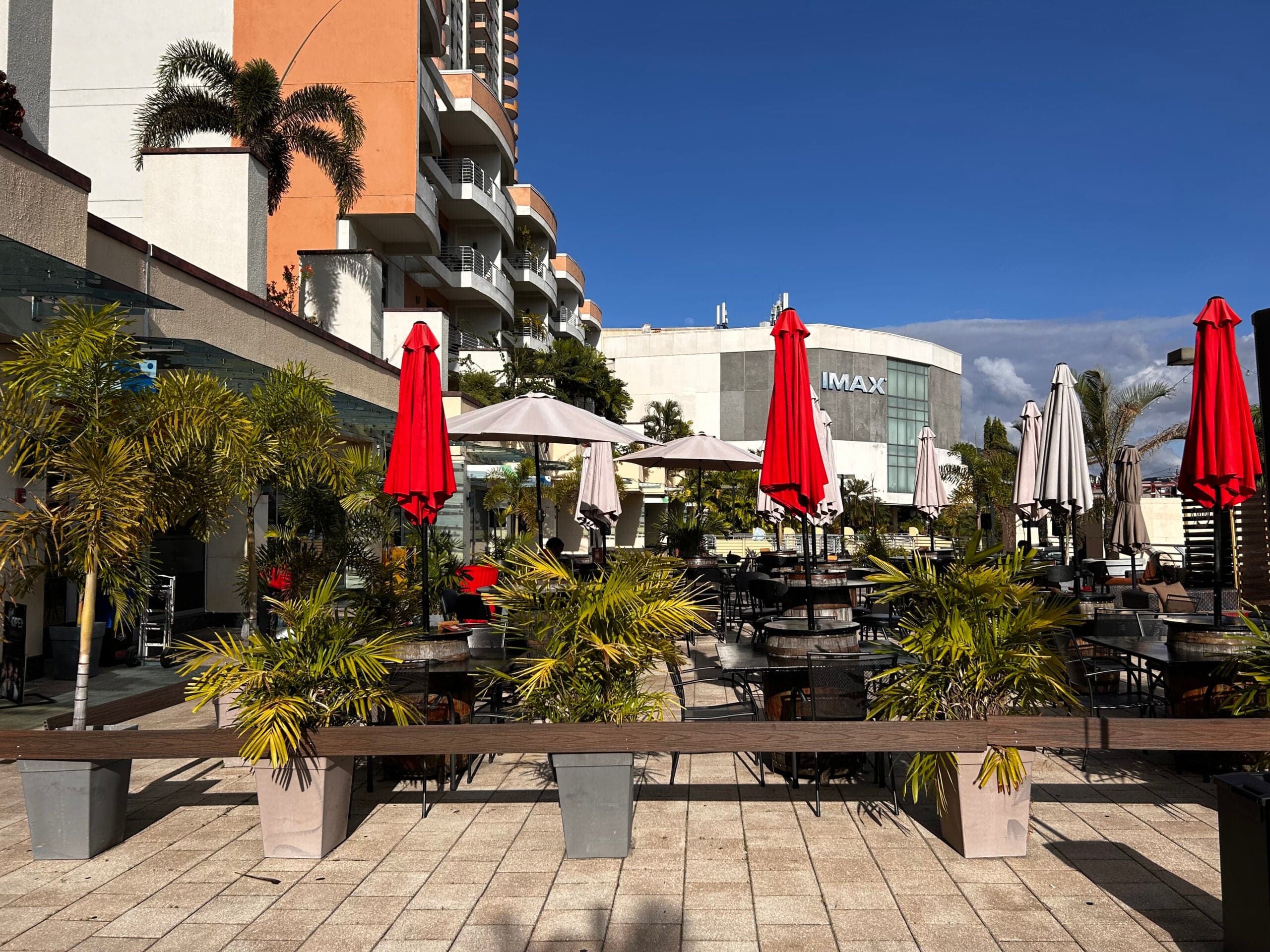 TTFF returns: One Woodbrook Place to host 19th edition of the iconic film festival