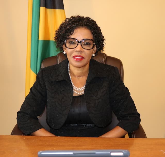 Jamaica's Ambassador Assumes Presidency of OAS Permanent Council