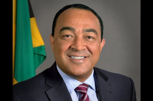 Jamaica’s Health Minister Orders Review of Security at Public Hospitals