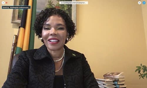 Jamaica's Ambaddasor to the United States, Audrey Marks Assumes Chair of OAS' Permanent Council