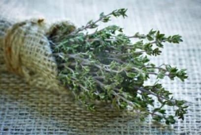 Jamaica and South Africa to sign commercial agreement for Jamaican herbs