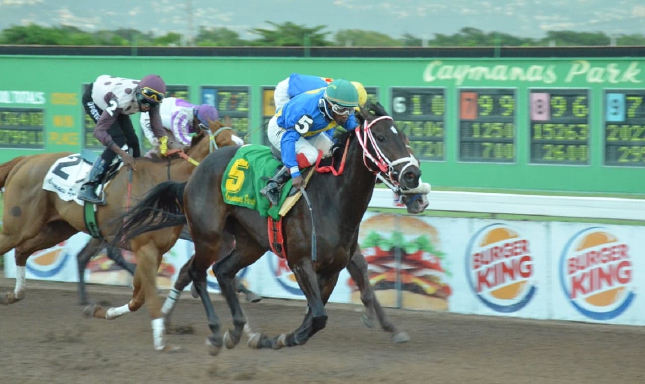 Jamaican jockey Dane Nelson emerges from bumper weekend in Canada with lead