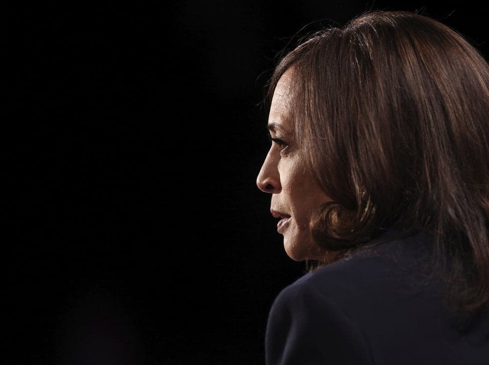 Jamaican-America Kamala Harris Becomes First Black Woman Elected Vice President