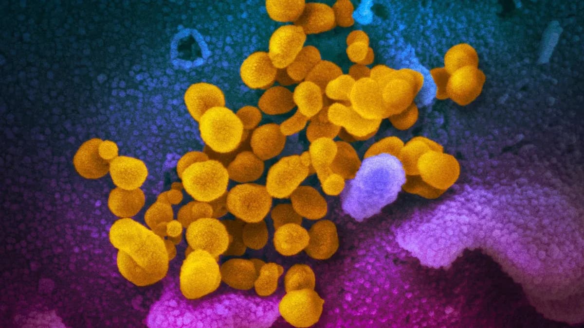 US study finds 1 in 10 get long COVID after omicron